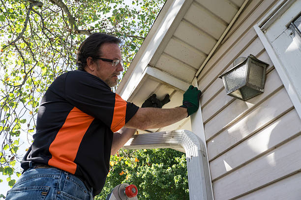 Best Siding Painting and Refinishing  in Bell Nyon, CA